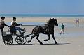 _D3X2197-Marathon des dunes de Fland